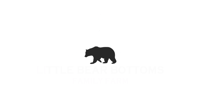 little bear bottoms logo