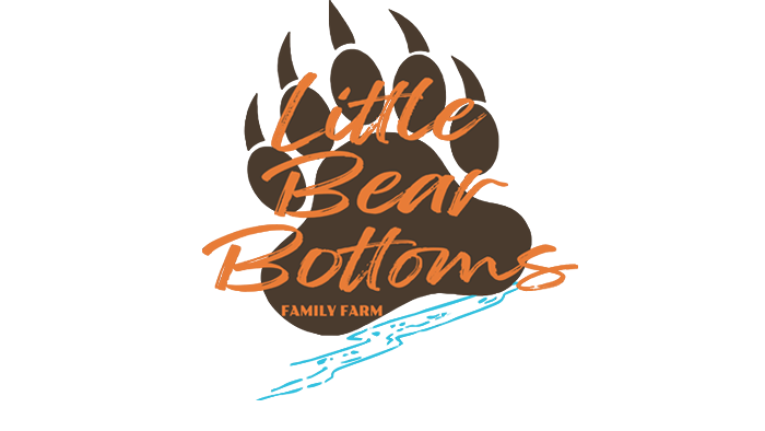 little bear bottoms logo