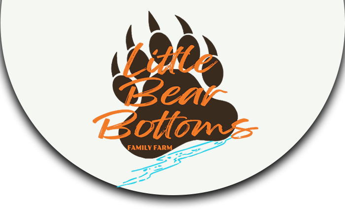 Logo little bear bottoms