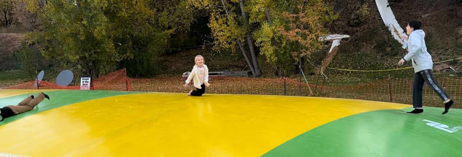 little bear bottoms corn maze field