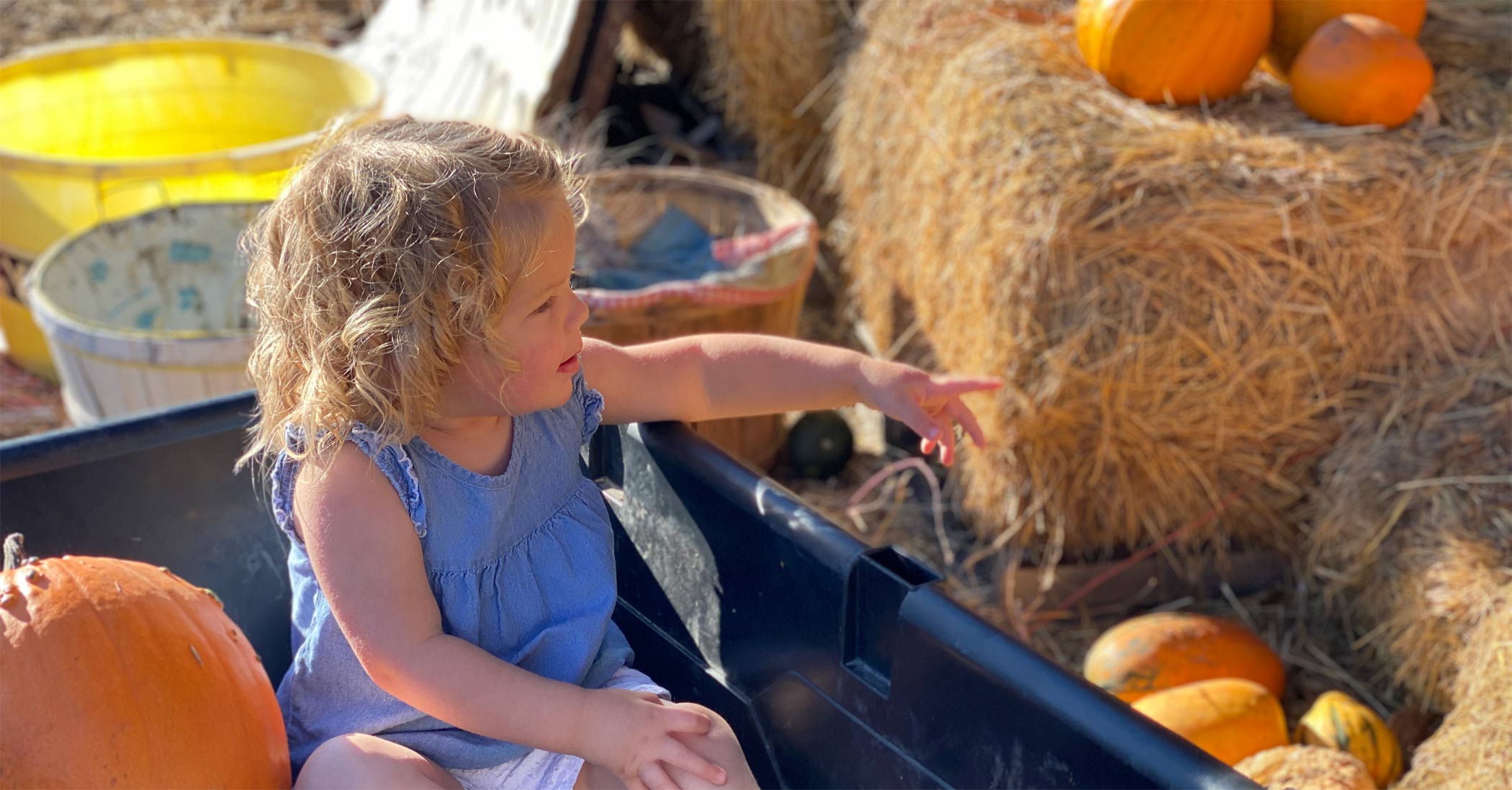 A little girl at the little bear bottoms pumpkin patch