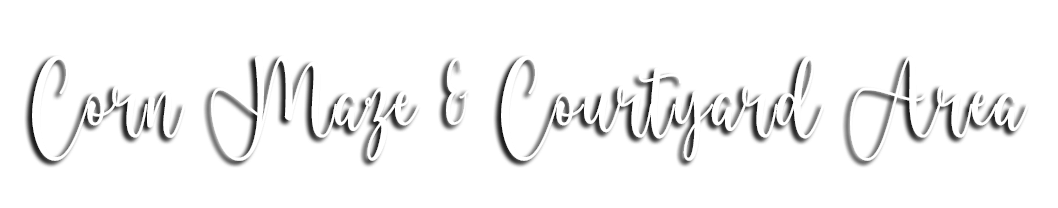 Corn Maze and Courtyard Area